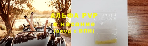 Альфа ПВП Горняк