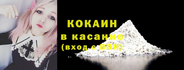 Альфа ПВП Горняк