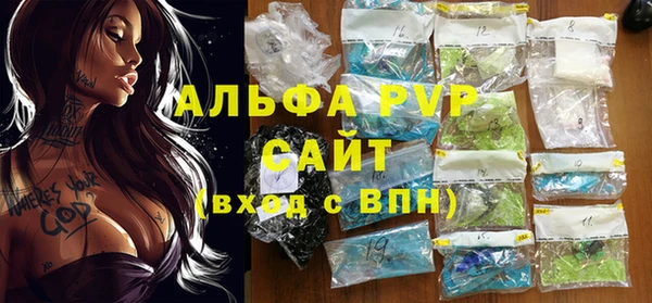Альфа ПВП Горняк