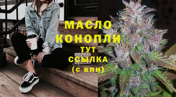 Альфа ПВП Горняк